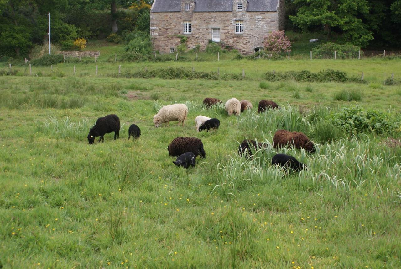 Maison d'hôtes La guguenaie à Béganne Extérieur photo